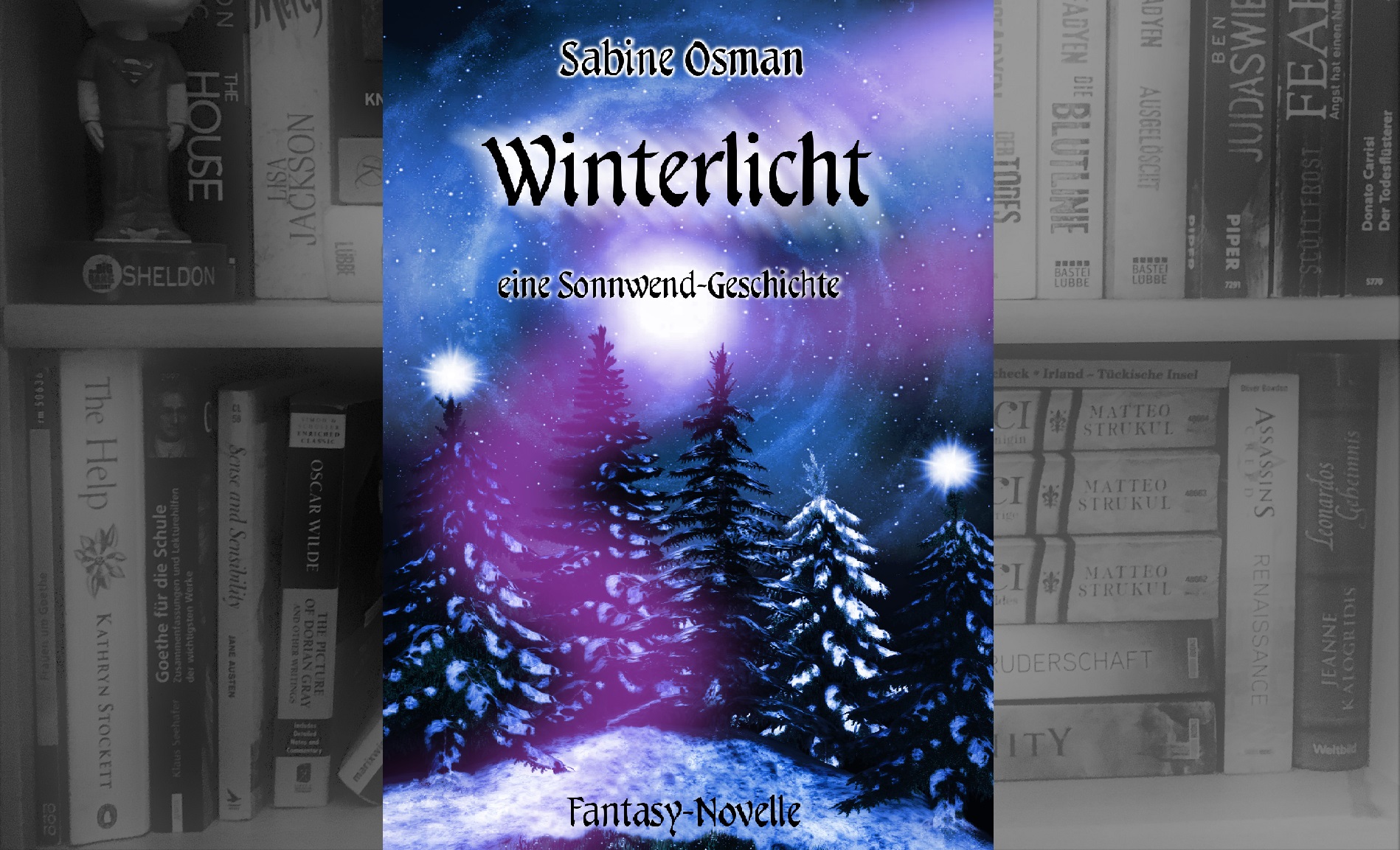 Winterlicht (c) Sabine Osman/woods of voices