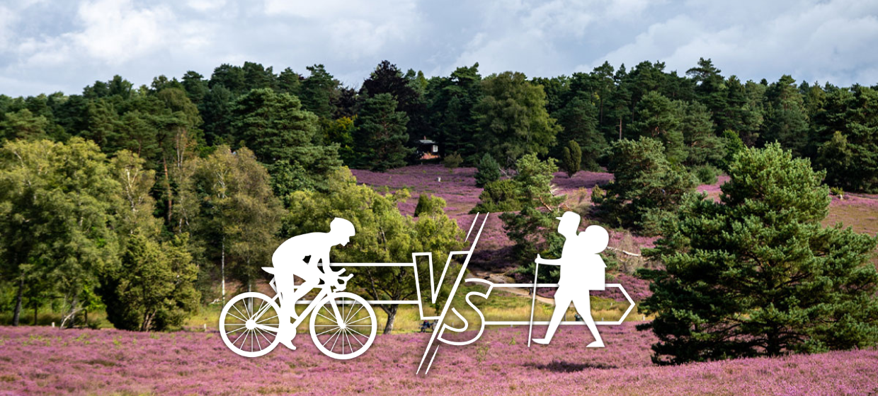 Lüneburger Heide, Radfahrer und Wanderer im Clinch (c) woods of voices